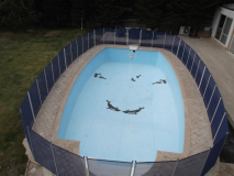 havuz_bariyer_guvenlik01